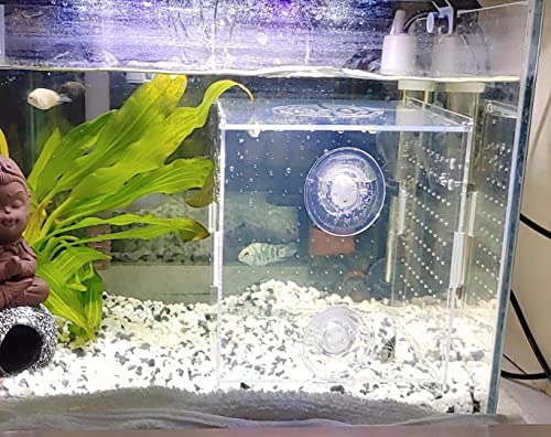 AWXZOM Acrylic Fish breeding Box, Acrylic Fish Isolation Box, Fish Separator for Aquarium, Hatchery Incubator with Suction Cups for Small Baby Fishes Shrimp Clownfish Guppy (5.9 * 5.9 * 5.9inch) - size: 5.9 * 5.9 * 5.9inch