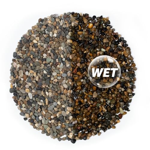 10LB Natural River Rocks, 1/4" Aquarium Gravel, Small Pebbles for Plants, Pea Gravel for Fish Tanks, Decorative Rocks for Gardening, Flower Pots, Vase Fillers, Indoor Fountains (10 LBS) - color: 10 LBS