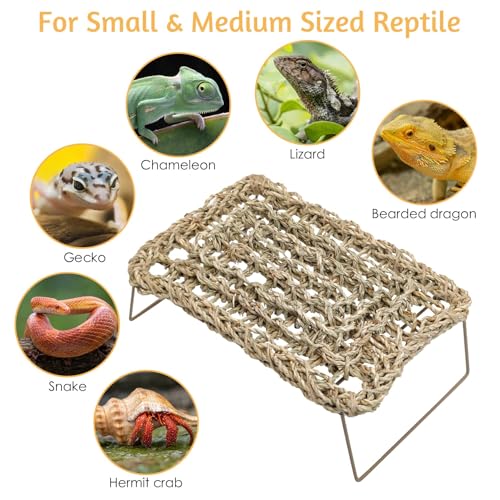 BNOSDM Reptile Hammock Bearded Dragon Bed Basking Platform Tank Accessories - color: 1PCS Hammock