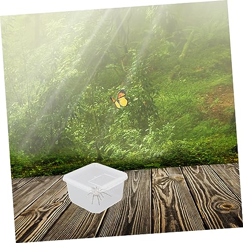 Angoily 2pcs Box Mini Reptile Container Insect Container Spider Box for Feeding Breathing - color: Transparentx2pcs, size: 12X12X7CMx2pcs
