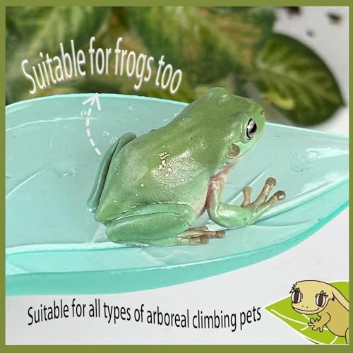 Crested Gecko Tank Accessories,Crested Gecko Hide,Frog Habitat Platform,Gecko Wall Climbing Toy &Reptile Branches(3PCS) (Light Blue) - color: Light Blue
