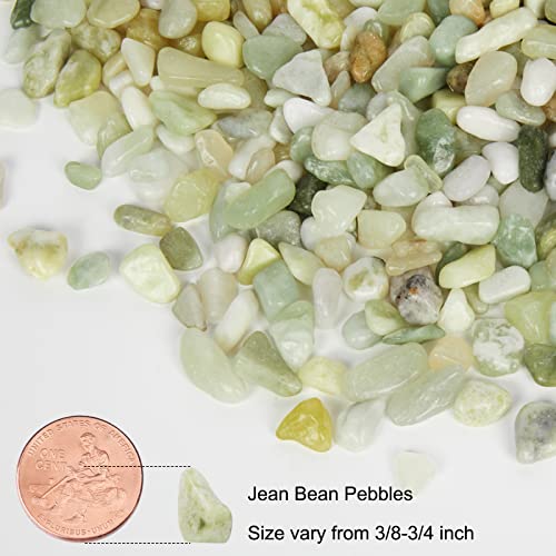 GASPRO 2.5 Pound Pebbles for Indoor Plants, 3/8 Inch Decorative Pebbles for Bamboo, Vase, Succulents, Highly Polished and Smooth Surface, Jade - color: Jade, size: 2.5 Pounds