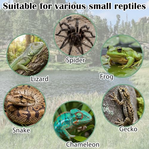 9Pcs Silicone Reptile Feeding Dish Set, Colorful Small Animal Bowls with 2 Silicone Spoon for Reptile Tanks, Practical Crested Gecko Tank Accessories for Small Pet