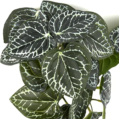 Fake Anthurium Crystallinum, Reptile Terrarium Hanging Decor Plants | Strong Suction Cups, For Arboreal Gecko Lizard Amphibian Habitat - color: Fake Anthurium Crystallinum