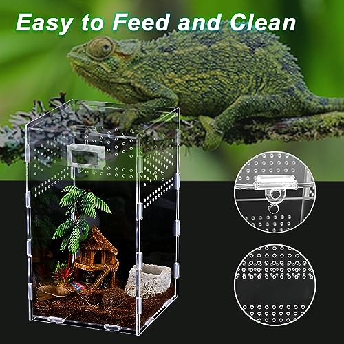 BigKing 2 Packs Reptile Feeding Box, Acrylic Reptile Terrarium Enclosure, Insect Breeding Case, Reptiles Habitat Terrarium for Small Tree Dwelling Reptiles & Amphibians Like Gecko and Frog