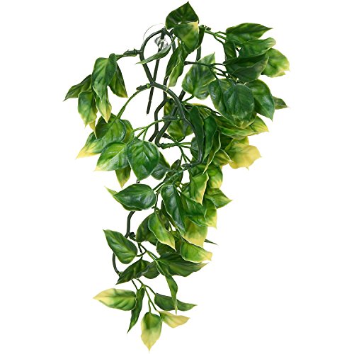 Hagen Exo Terra Plastic Terrarium Plant, Small, Amapallo - color: Multi Color, size: Small