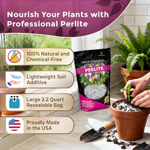 Leaves & Soul Perlite for Plants Medium Grade Perlite 2.2 Qt Soil Additive | Perlite for Plants Improves Drainage, Supports Healthy Root Growth, and Enhances Potting Mix for Thriving Garden Plants - style: Perlite Soil Additive (2.2 Quarts)