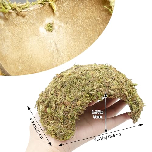 Natural Moss Frogs Hideout - Green Mossy Cave for Reptile, Geckos, and Hermit Crabs - Humid Habitat Decor for Amphibians and Small Reptiles - Eco-Friendly Terrarium Shelter