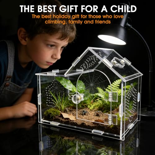 Acrylic Jumping Spider Enclosure with Magnetic Lock – Clear Ventilated Terrarium Box for Tarantulas, Geckos, Mantises, Hermit Crabs, Snails, and Other Small Pets (7.9 x 4 x 6 Inch) - size: 7.9" x 4" x 6"