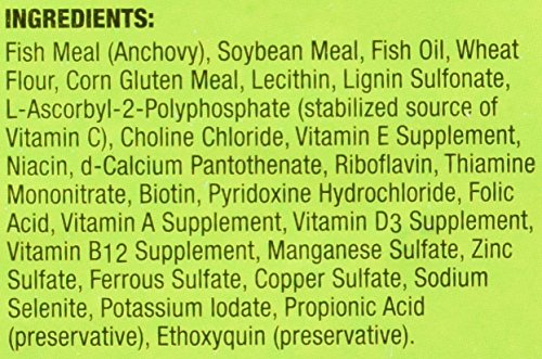 Zoo Med Aquatic Frog and Tadpole Food, 12 Ounces Each, Made in The USA (12 Ounces) - size: 12 Ounce (Pack of 1)