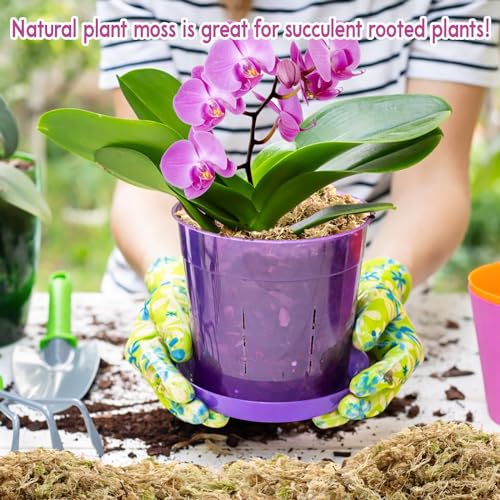 Riare 3.3LB Premium Sphagnum Moss for Plants- Natural Long Fiber Plant Moss | High Expansion, Moisture Retention & Drainage, Dried Orchid Moss for Succulent, Carnivorous, Ferns, Reptiles & Terrariums - size: 60QT/3.3lbs