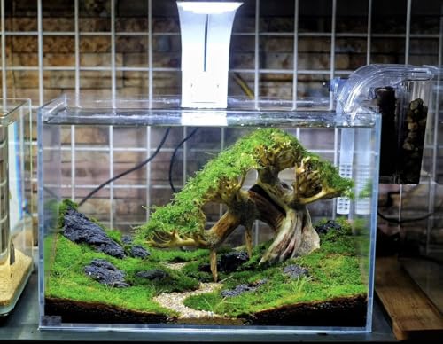 Azil Bonsai Driftwood Aquarium Tree for Aquarium Decor Fish Tank Decorations (10.1'' Length)