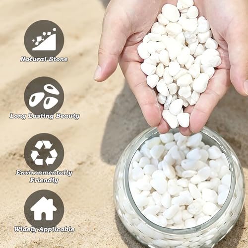 10 lbs White Gravel, 3/8 Inch Decorative Rocks Suitable for Potted Plants,Small Rocks for Plants, Vases, Cactus Potted Plants, Fish Tanks - color: White, size: 3/8 Inch 10 LB