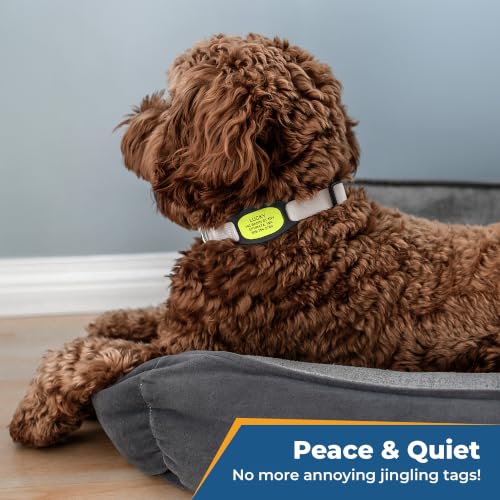 GoTags Active Silent Dog Tag, Personalized Engraved Silicone Pet ID Tags | Soundless Quiet Slide On Nameplate for Cat Collars with Name and Number, No More Jingling Tags (Neon Green, Medium) - color: Active Neon Green, size: Medium (Pack of 1)