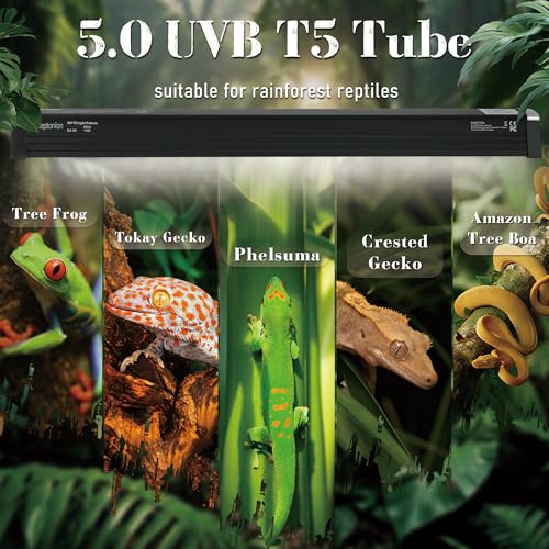 4W Reptile T5 HO UVB 6.5" 5.0 Light Fixture with Tube, Dedicated UVB Spot Hood for Terrariums, Suitable for Arid Reptiles Like Leopard Gecko - color: 5.0 Rainforest