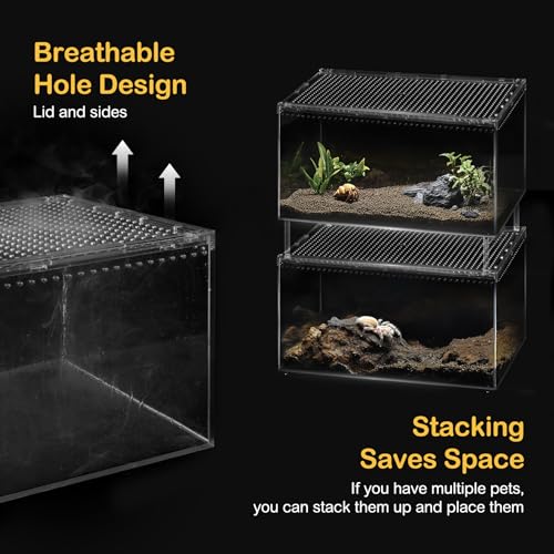 Reptile PC Terrarium,Spider Tank Starter Kit,Leopard Gecko Container,Tarantula Cage,Hermit Crab Habitat,Lizard Enclosure,Insect Housing,Jumping Spider Enclosure,Small Bearded Dragon Vivarium