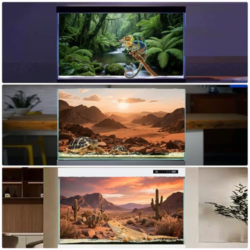 3 Pack Terrarium Background Polyester Reptile Background,Gobi Sunshine Cactus Stone & Green Tree Fern Stream Terrarium (48 inches x 24 inches) - size: 48 x 24 inches