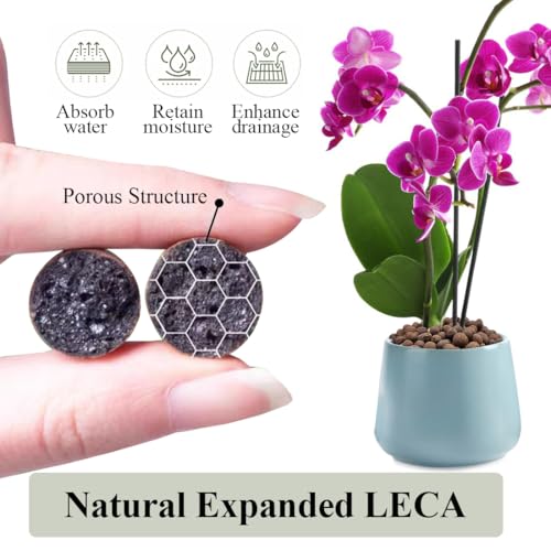 Clay Pebbles for Plants, 8mm-12mm Expanded LECA Balls Plant Garden Soil, Hydroponic, Aquaponics, Natural Leca Balls for Soil Root Development, Orchid Potting Mix, 2lb - color: Clay Pebbles, size: 2 Pounds