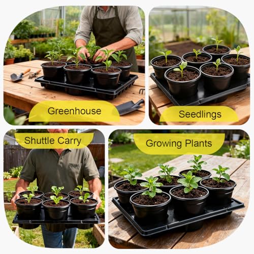 RooTrimmer 6 Inch Plastic Plant Pots 30 Pack and 6 Cell Nursery Pots Trays 5 Pack, Sturdy Seeds Starting Germination Shuttle Carrying Trays, Black Nursery Planting Propagation 5 Sets - color: Black + Black, size: 6 Inch 30 Pack Pots With 5 Pack Trays