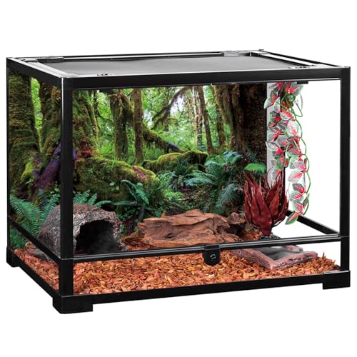 60x24 in Terrarium Backdrop Rainforest Moss Tree Reptile Habitat Background | AWERT Green Tropical Forest Polyester Aquarium Background - size: 60x24in/150x60cm