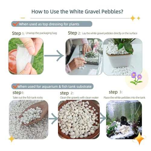 5 LB White Gravel 0.5 Inch Pebbles for Plants & Aquarium | White Gravel for Plants, Succulents, Cacti, Aquariums, Fish Tanks, Vases, Landscaping & Indoor Decorative