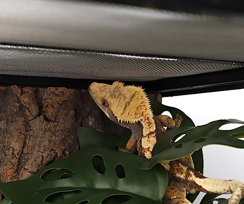 Fake Monstera Adansonii, Reptile Terrarium Suction Plants | For Gecko Snake Lizard Rainforest Habitat - color: Fake Swiss Cheese Plants Monstera Adansonii