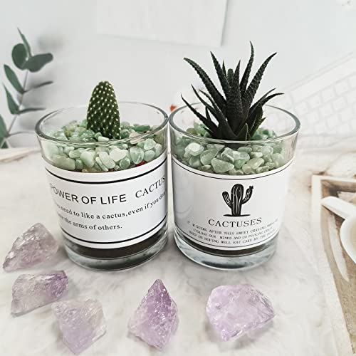 ZHIYUXI Green Aventurine Crystal Chips Fish Tank Gravel Vase Filler Stones Crushed Crystals Gemstone Polished Healing Crystals Natural Quartz Stone 0.44lbs - color: F# Green Aventurine, size: 0.44 Pound