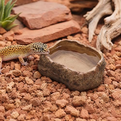 VelTherm Escape-Proof Reptile Bowl, Small Worm Dish with Smooth Vertical Inner Wall for Mealworms, Weighted Anti-Tip Food and Water Dish for Leopard Geckos, Small Lizards