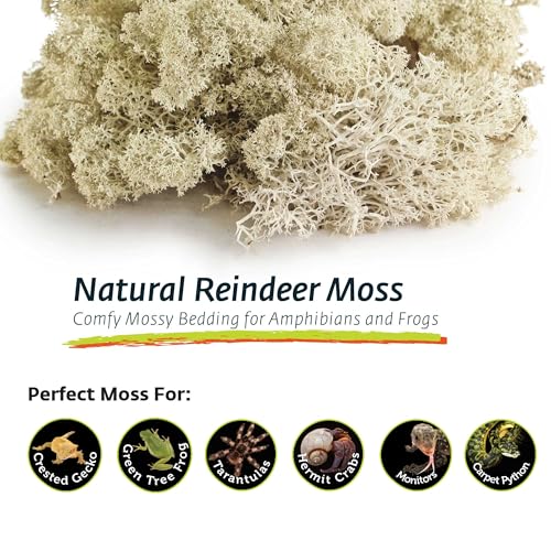 Galapagos (05180 Reindeer Moss, Natural, 150in3 Header Bag | Header Bag