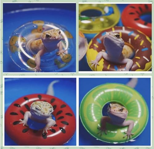 Small Animal Swimming Pool with Inflatable Float Set - Inflatable Reptile Bathing Swimming Pool Bath Tub Reptile Swim Float Ring for Lizard Amphibians Grooming Health Supplies (Blue)