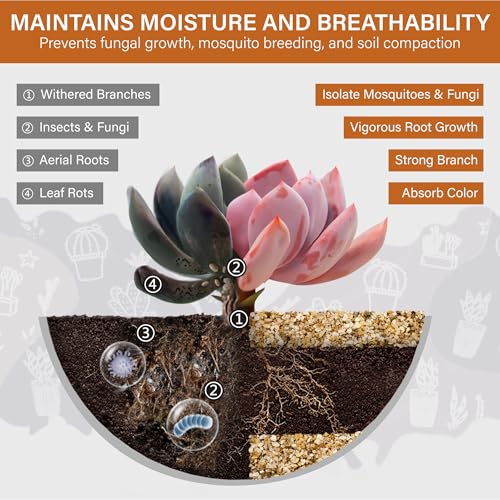 NUPICK 1-2mm Coarse Sand for Plants, 6lb Horticultural Sand for Succulents | Desert Silica Sand for Cactus, Decorative Gravel for Landscaping, Gold Horticultural Grit for Aquariums, Bonsai, Vases Filler - size: 1-2mm, style: 6lb