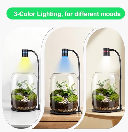 Glass Terrarium Jar with 5W LED Grow Light, 8.7 Inch | 3 color modes, dimmable light, USB powered, wide opening, for moss, succulents, mini plants, shelves and home office decor