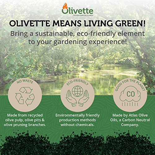 OLIVETTE Organic Biochar Activated Charcoal for Plants, 3 Bags | USDA Horticultural Charcoal, Moisture Control For Terrariums & Potted Plants, Biochar Soil Additive For Gardening - size: 3 Bags