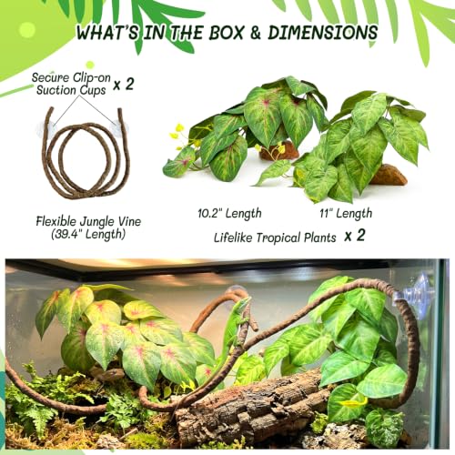 3PC Reptile Terrarium Habitat Decor Kit – Realistic Artificial Reptile Plants with Hanging Vine, Resin Stone Base – Jungle Rainforest Habitat & Climbing for Lizard & Amphibians (Syngonium) - color: Syngonium Podophyllum