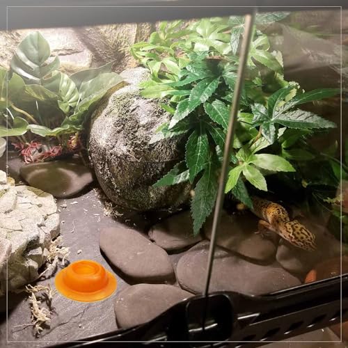 2 Pack Gecko Calcium Dish for Leopard Geckos Reptiles Small Pets Leopard Gecko Food Dish Calcium Bowl Reptile Water Dish Food Bowl