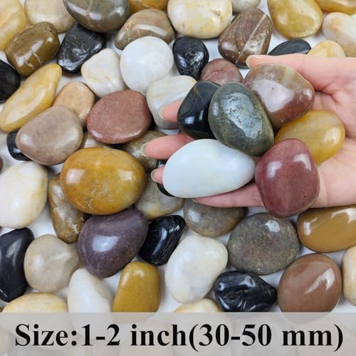 FANTIAN 2 lbs Pebbles for Plants, 1-2 inch Polished River Rocks for Plants Indoor Aquarium Terrarium, Stones for Planters Vase Landscaping and Outdoor Yard Decorative Stones - size: 1-2 Inch, style: 2 Pounds