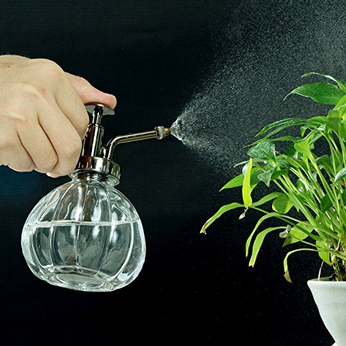 Flower Water Spray Bottle Can Pot Plant Mister | Vintage Pumpkin Style Decorative Glass Plant Atomizer Watering Can Pot with Pump for Terrariums Flowers Potted Plants (Clear) - color: Clear