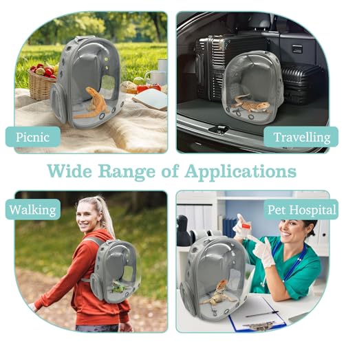 PINVNBY Bearded Dragon Carrier Backpack with Harness and Leash Set Large Reptile Travel Carrier Portable Lizard Backpack Clear Bubble Window Small Animal Carrying Bag for Gecko Kitten Rabbit (Gray) - color: Gray