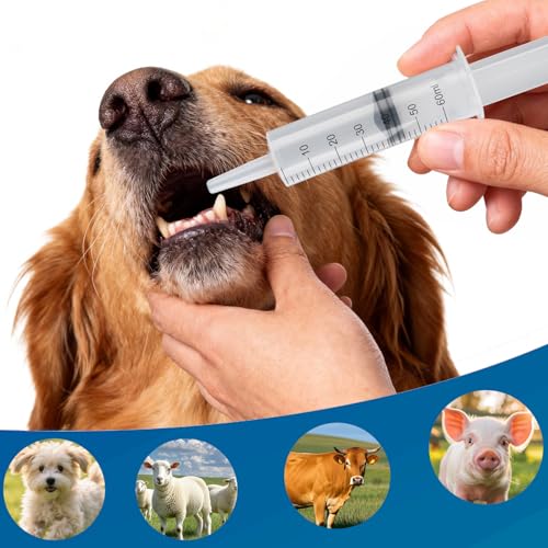 60ml Syringe with Measurement for Scientific Labs, Feeding Pets, Refilling and Measuring Liquids,Dispensing,with Cap (3PCS, 60ml) - size: 3PCS-60ml