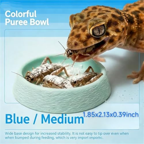 2 PCS Reptile Food Water Bowls, Small/Medium/Large Amphibian Feeding Dish Basin, 4 Colors Terrarium Feeder for Gecko, Frog, Turtle, Lizard, Spider Pet Supplies(Blue,Medium) - color: Blue, size: Medium