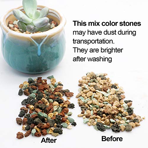 Mix Horticultural Lava Pebbles Pumice Potting Soil Amendment Succulent Cactus Bonsai Gritty Rock Decorative Gravel Plant Drainage Volcanic Rock for Terrarium Fairy Gardening Top Dressing 2.2lb - color: Multi, size: 2.2 lb
