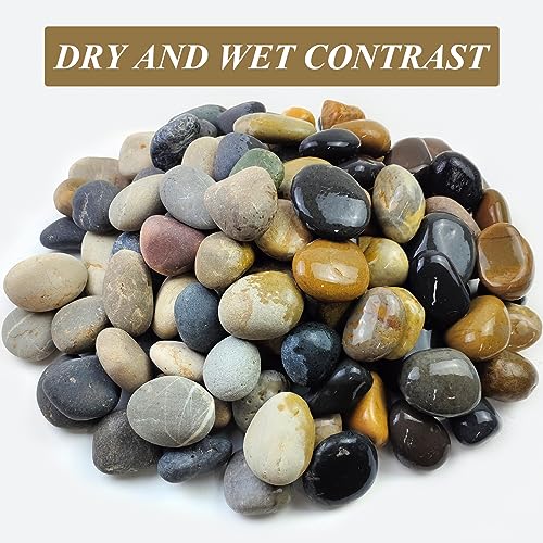 FANTIAN 10 lbs River Rocks, 2-3 Inch Natural Pebbles for Plants | Decorative Rocks Stones for Landscaping, Garden, Indoor Plant, Aquarium, Backyard, Water Fountains, Walkway - color: Mixed, size: 10 lbs, 2-3 Inch