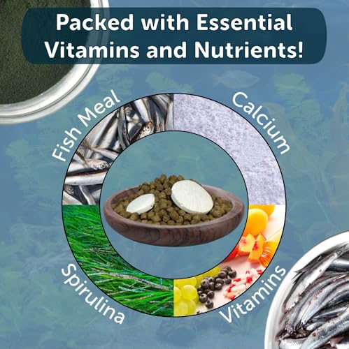Calcium Blocks Included in Aquatic Frog 4mm Sinking 40% Protein Nuggets. Ideal for All Frogs and Bottom Tropical Fish…10oz Jar - size: 10 Ounce (Pack of 1)