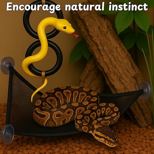 Snake Enrichment Toys Ball with Hammock, Snake Climbing Accessories and Hammock for Ball Python, Small Jungle Gym Ladder Toy, Reptiles Climbing Toy Hammocks, Snakes Tank Accessories (Black Ring, L) - color: Black Ring