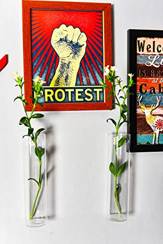 Kingbuy Wall-Mounted Plant Terrarium Propagation Station - 2 Cylinder Hanging Glass Tubes Planter for Hydroponic Plants, Indoor Wall Vases & Decorative Plant Holder Bathroom Office Living Room Decor - color: Long Cylinder