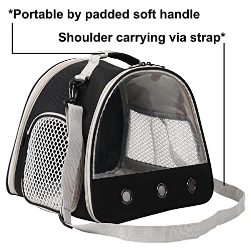 Bearded Dragon Travel Backpack Carrier Bag+Reptile Climbing Hammock