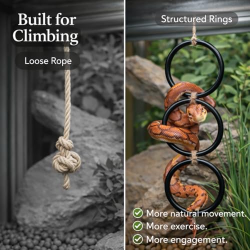 Snake Climbing Rings for Ball Python - Enrichment Toys for Corn Snake | Reptiletank Cage Decor Habitat Accessories | Terrarium, Bearded Dragon, Chameleon, Iguana, Gecko, Lizard, Parrot - color: 1PCS - BLACK