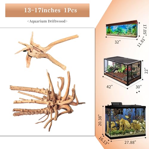 Natural Large Driftwood for Aquarium Decor Fish Tank Decor Reptile Decor | Assorted Driftwood Branch, Natural Driftwood for Aquascaping and Reptile Decor - size: Spiderwood 13 to 17 Inch(Pack of 1)