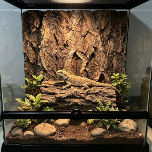 4 Pcs Natural Reptile Cork Bark Background, 15.7x11.8, 11.8x11.8, 11.8x7.9, 7.9x7.9 in Terrarium Background, Wood Board Decor for Rainforest Tank Landscaping, Climbing Wall for Lizard Turtle Snake - size: 4 Pcs 4 Size