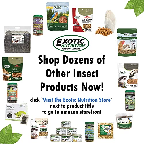 1/2 Pound Dried Crickets - High Protein Insect Treat - Chickens, Wild Birds, Hedgehogs, Bluebirds, Reptiles, Sugar Gliders, Opossums, Skunks, Lizards, Bearded Dragons, Fish, Turtles 8 oz. (1 Pack)